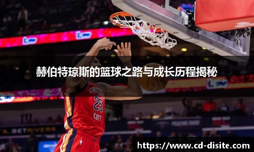 赫伯特琼斯的篮球之路与成长历程揭秘