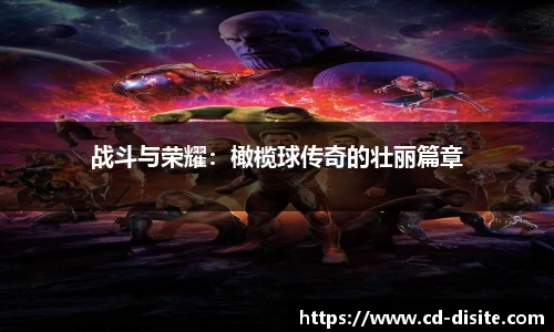 战斗与荣耀：橄榄球传奇的壮丽篇章