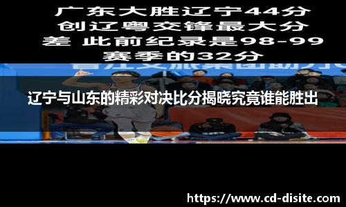 辽宁与山东的精彩对决比分揭晓究竟谁能胜出
